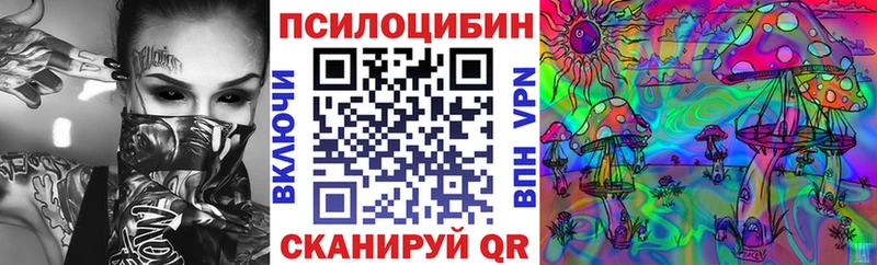 Псилоцибиновые грибы Cubensis  Стародуб 